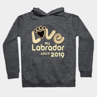 Love my labrador since 2019 Hoodie